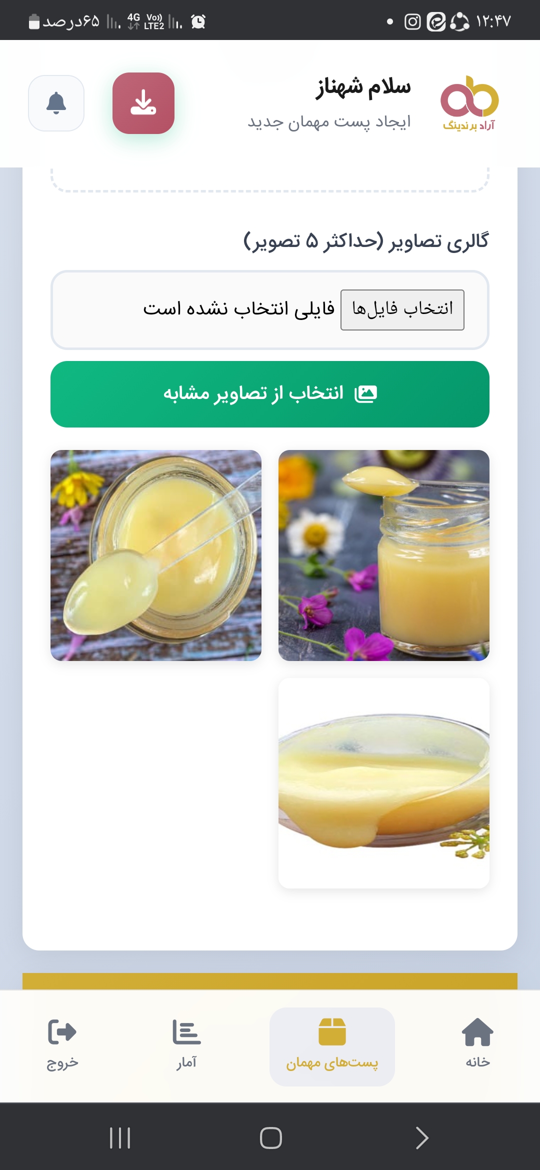 تصویر 1 از فروش ژل رویال درجه یک به قیمت عمده