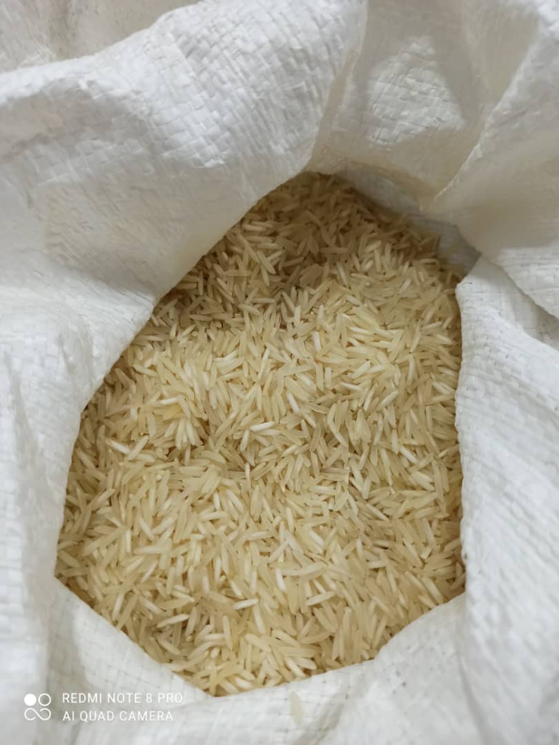 تصویر 1 از قیمت خرید برنج چمپا میداوود درجه یک