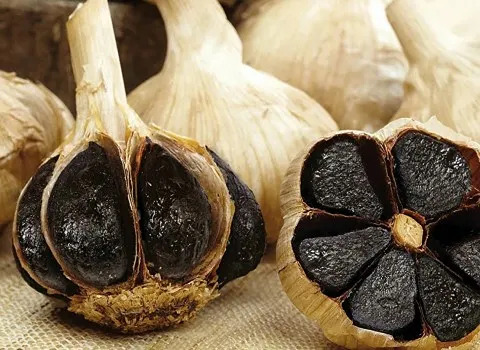 تصویر 1 از قیمت خرید سیر سیاه درشت + فروش صادراتی