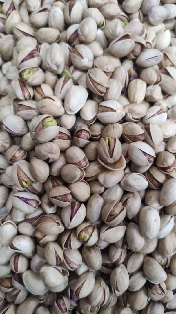تصویر 4 از قیمت پسته فندقی عمده با کیفیت ارزان + خرید عمده