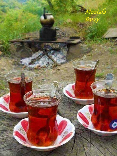 چای قلم ۳ مناسب مسجد و موکب