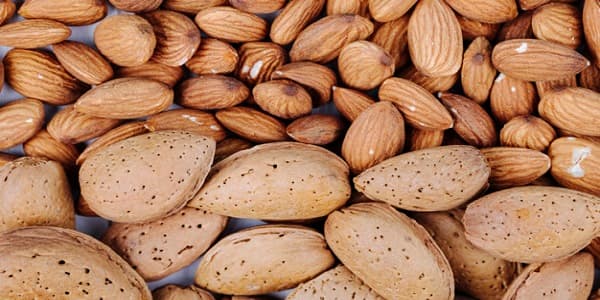 قیمت خرید بادام سنگی درشت + فروش ویژه