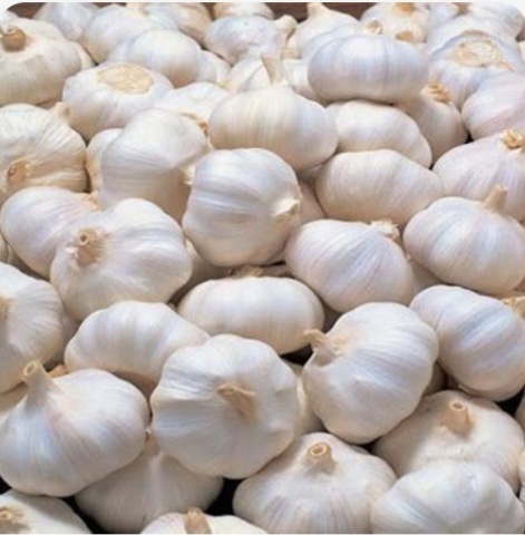 تصویر 5 از سیر خشک درجه یک + عمده قیمت عالی