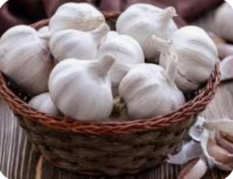 تصویر 3 از سیر خشک درجه یک + عمده قیمت عالی
