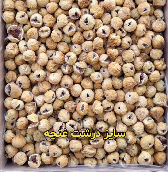 تصویر 5 از انجیر غنچه ممتاز و بسیار خوش طعم از بهترین باغات استهبان