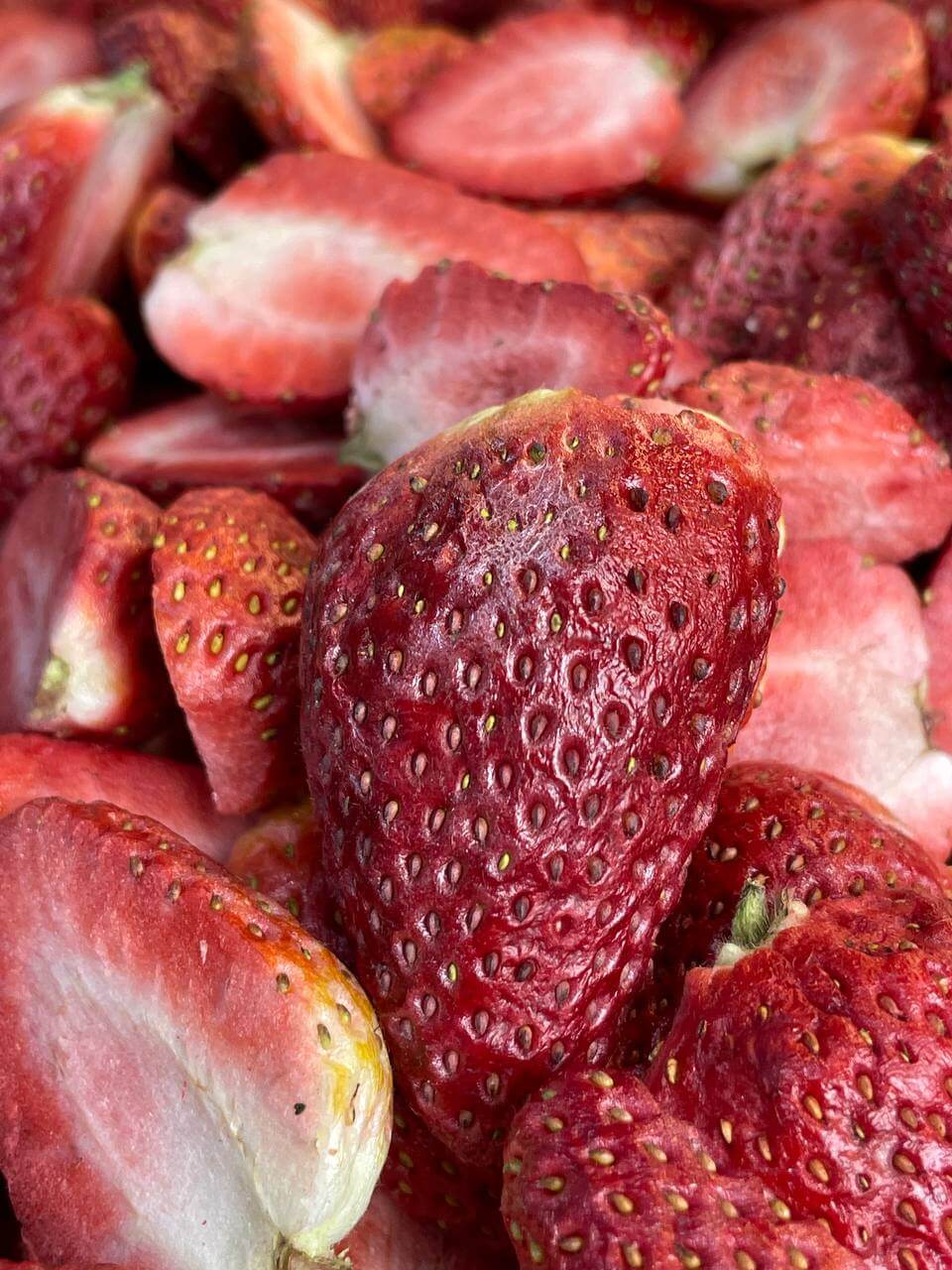 تصویر 1 از فروش عمده توت فرنگی پفکی + کیفیت عالی