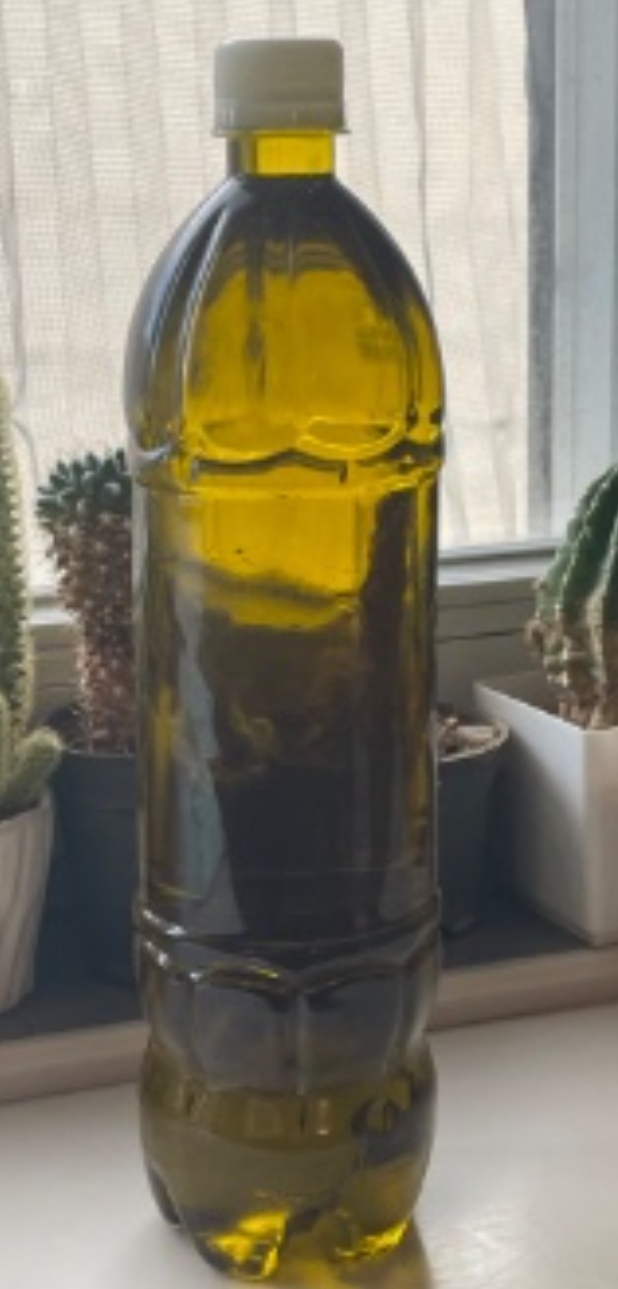 تصویر 4 از فروش ویژه روغن زیتون طلایی مخصوص صادرات به عراق و روسیه + خرید