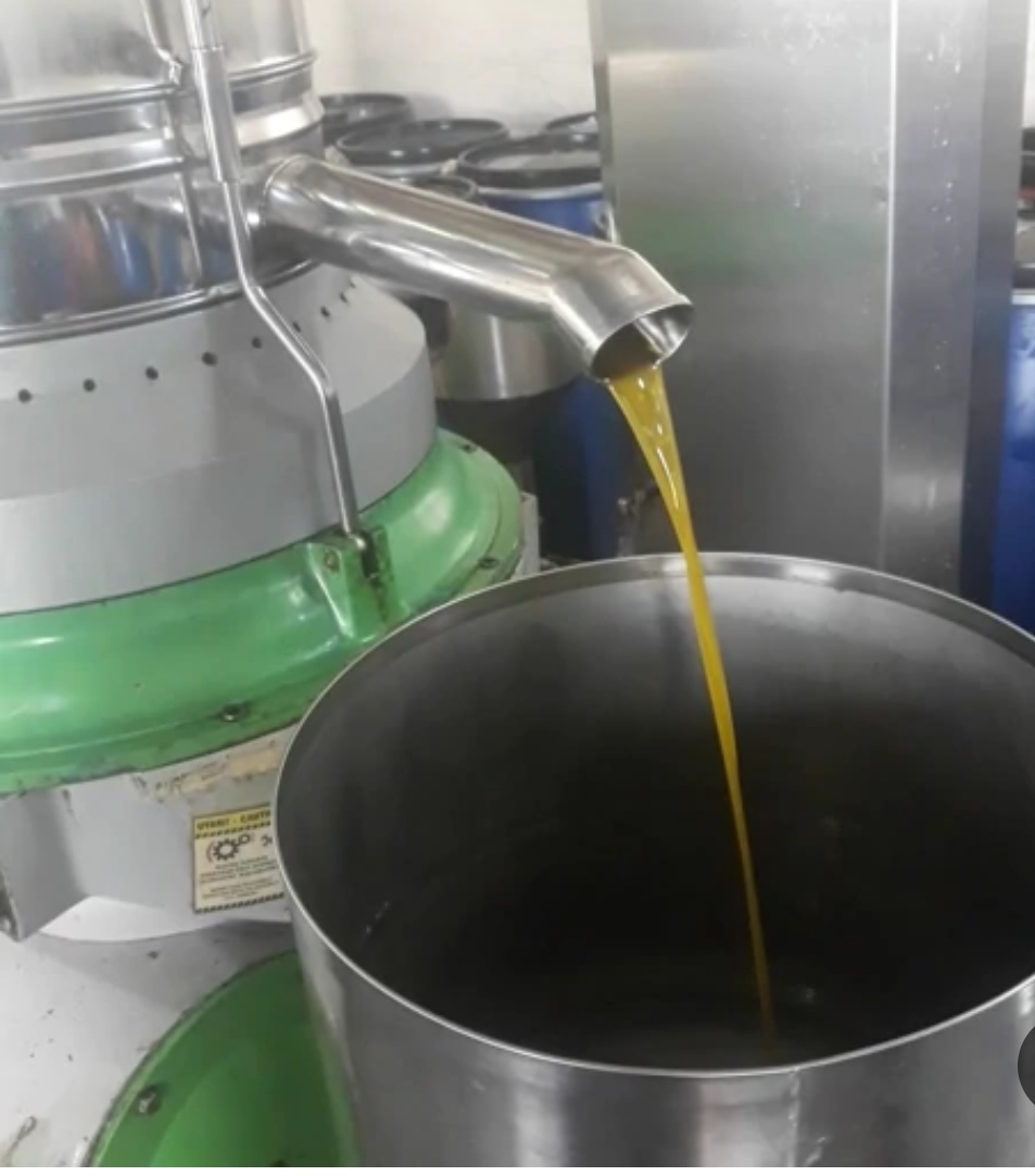 تصویر 3 از فروش ویژه روغن زیتون طلایی مخصوص صادرات به عراق و روسیه + خرید