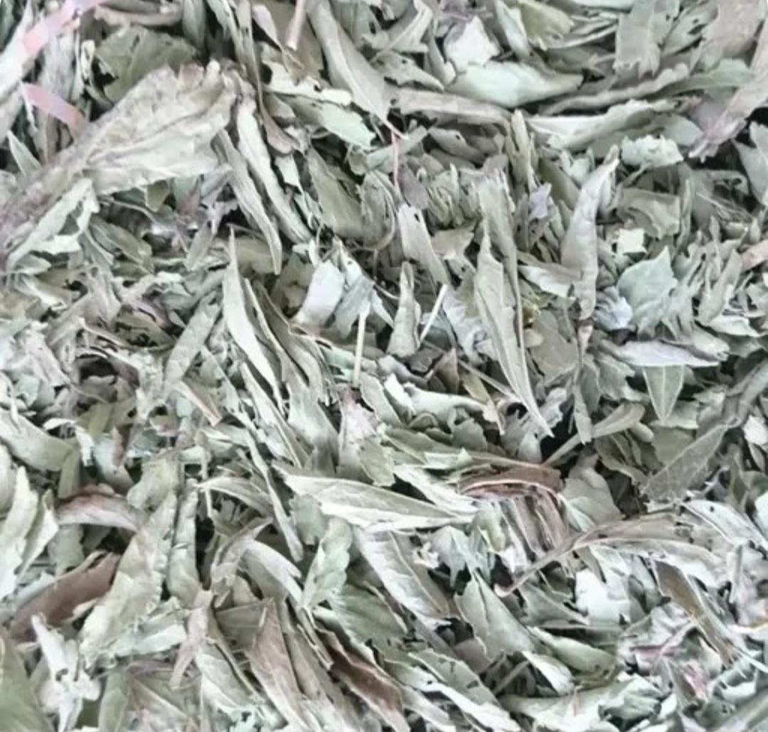 تصویر 2 از برگ استویا سورت شده خرید