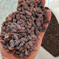 کشمش آبگیری درگز + قیمت عمده