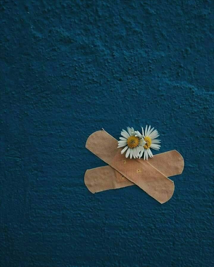 تصویر 2 از قیمت خرید چسب زخم + فروش ویژه