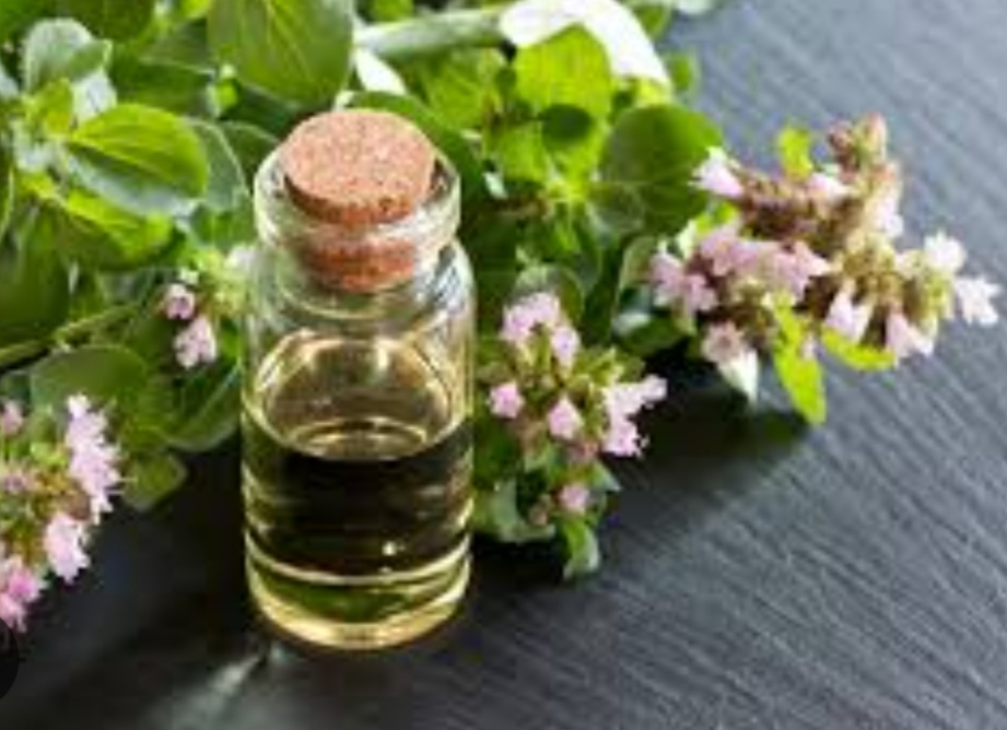 تصویر 3 از مشخصات خرید عرق مرزنجوش (مرزنگوش) یک ضد اسپاسم طبیعی