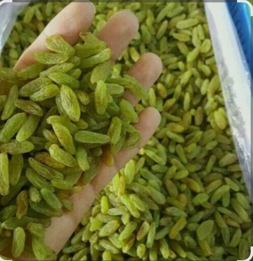 قیمت کشمش سبز لوکس صادراتی
