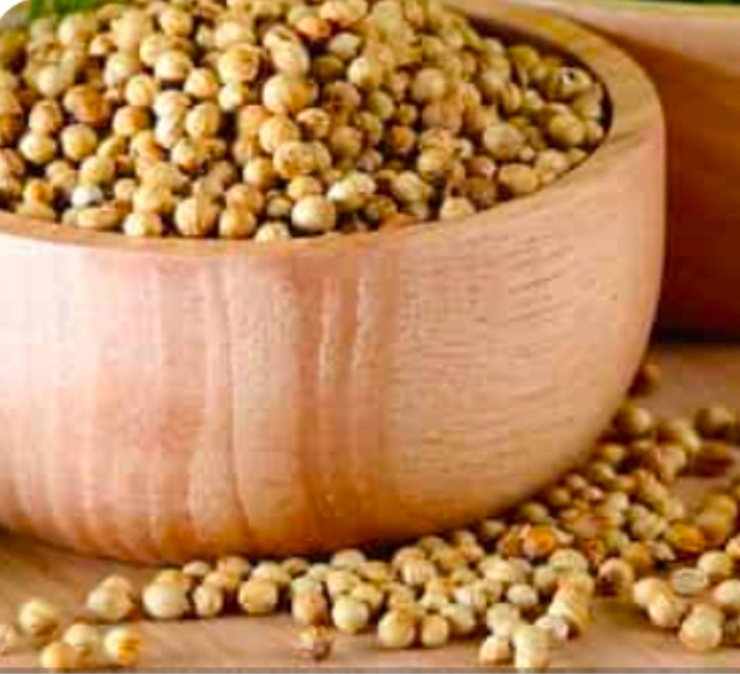 تصویر 1 از خرید تخم گشنیز نهاوند با رایحه شیرین