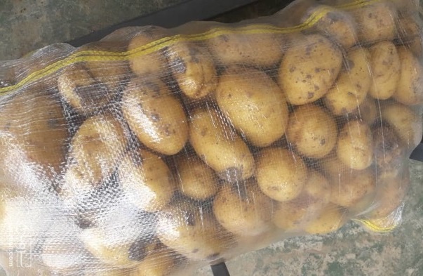 تصویر 1 از خرید مستقیم سیب‌زمینی از مزرعه