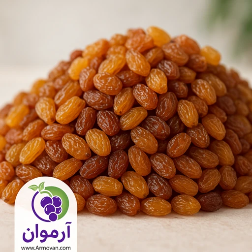 تصویر 3 از قیمت کشمش پلویی بسته بندی + بسته بندی صادراتی
