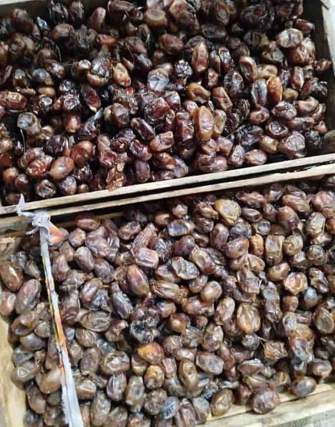 تصویر 2 از خرمای سایر جنوب + بازار عمده