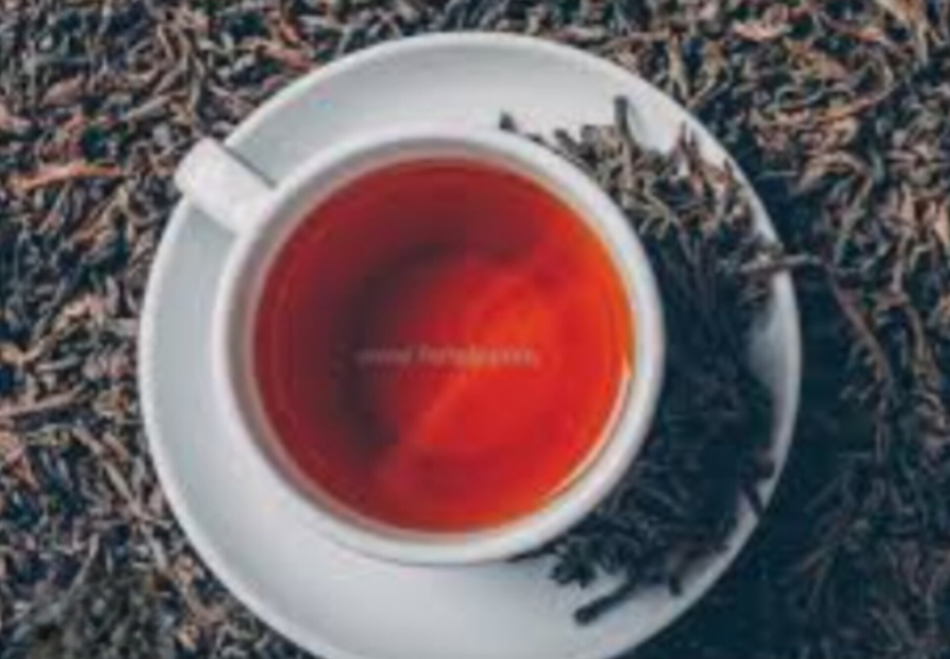 تصویر 2 از فروش چای سیاه با شرایط فوق‌ العاده