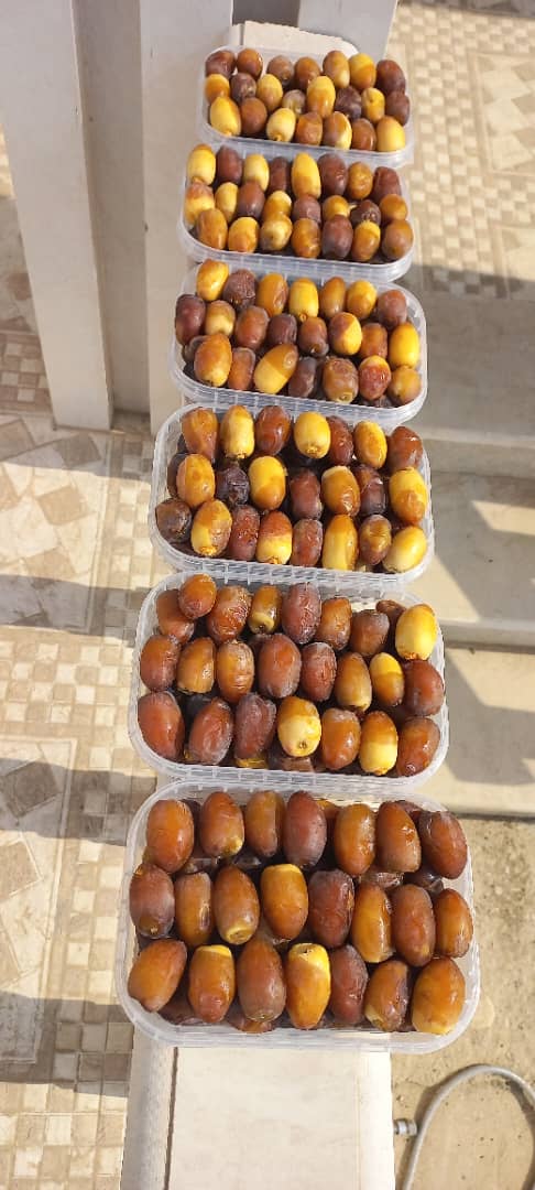 تصویر 2 از خرمای برحی کارون + قیمت منحصر به فرد
