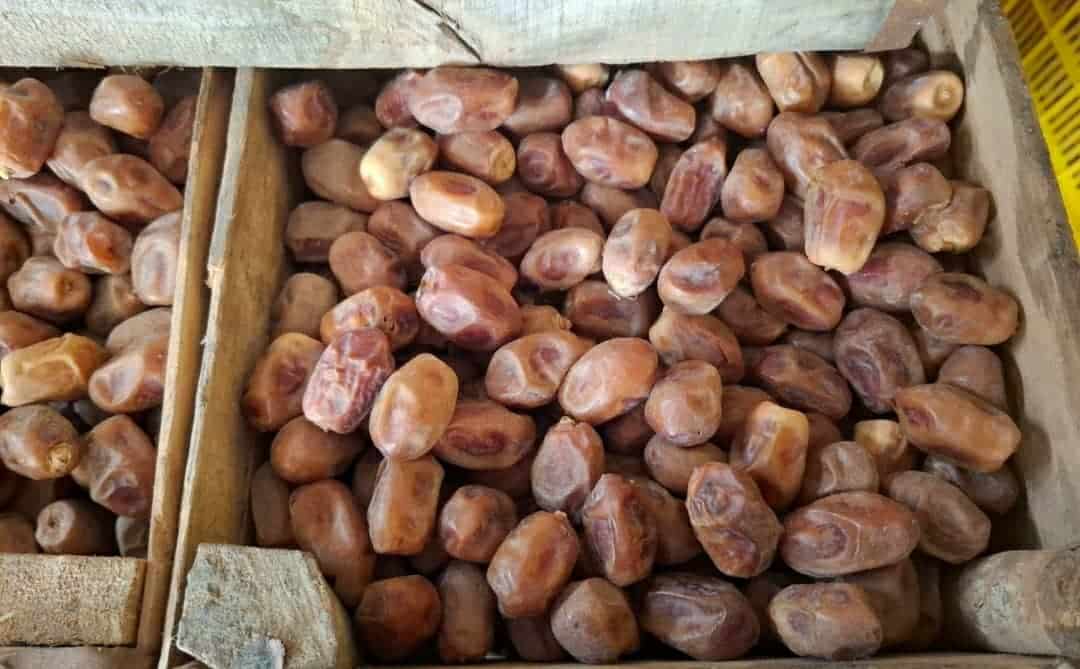 تصویر 3 از خرما زاهدی پشتکوه + قیمت عمده