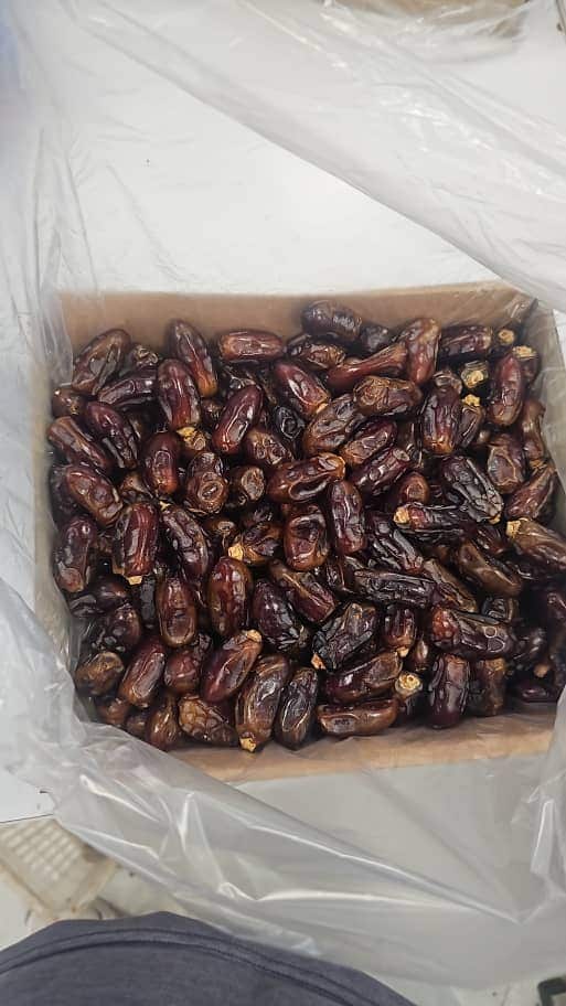 تصویر 1 از خرما پیارم بوشهر + قیمت فقط عمده