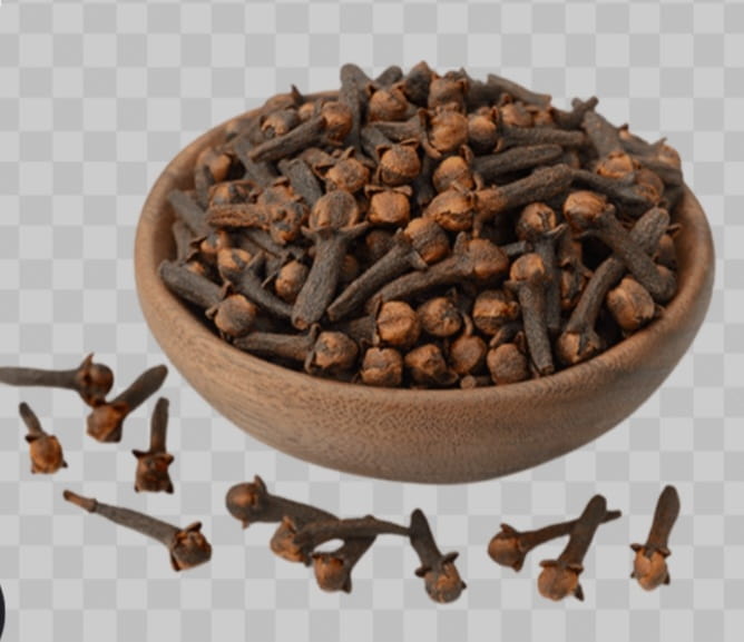 تصویر 1 از قیمت خرید استثنایی گل میخک اعلا