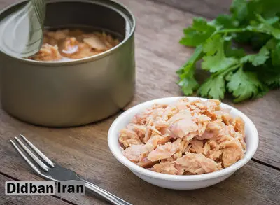 تصویر 1 از قیمت کنسرو ماهی درجه 1 خوشمزه + با قیمت فروش باور نکردنی