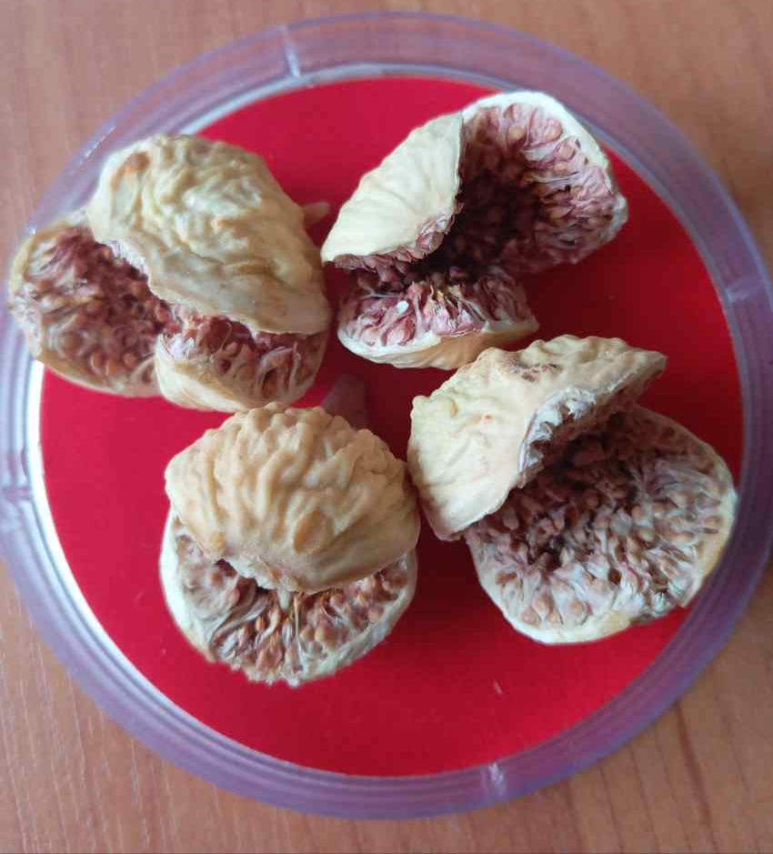 تصویر 1 از خرید اینترنتی انجیر خشک + قیمت ویژه