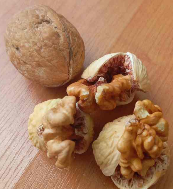 تصویر 1 از خرید پودر انجیر خشک + فروش ویژه