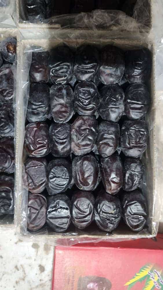 خرید خرما فارس