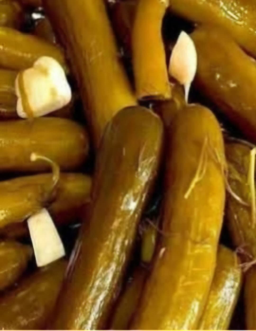 فروش فوری خیارشور ویژه حلب + خرید بدون واسطه