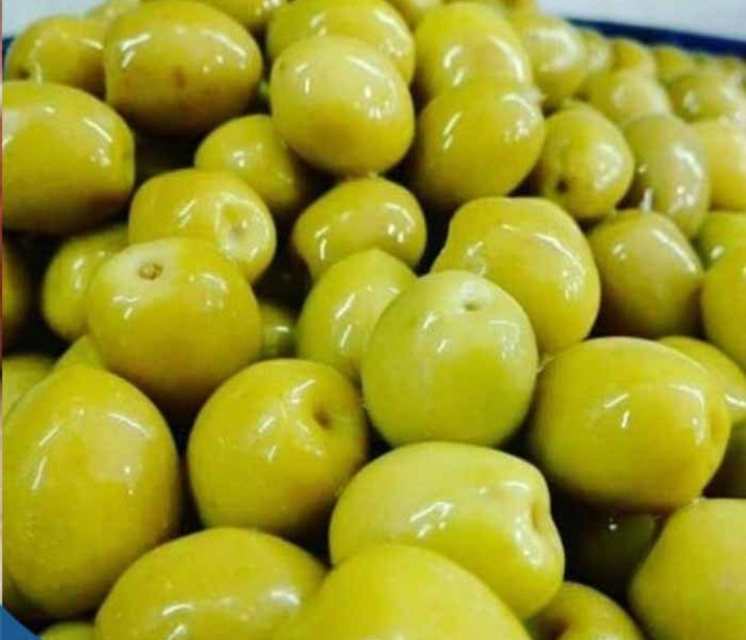 تصویر 1 از فروش زیتون کنسروی درجه یک