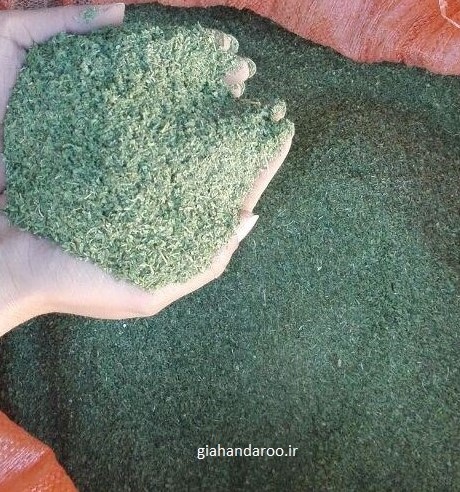 تصویر 1 از خرید برگ نعنا فلفلی + عمده فروشی