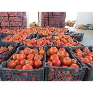 تصویر 6 از بهترین رب گوجه شیشه ای + خرید عمده