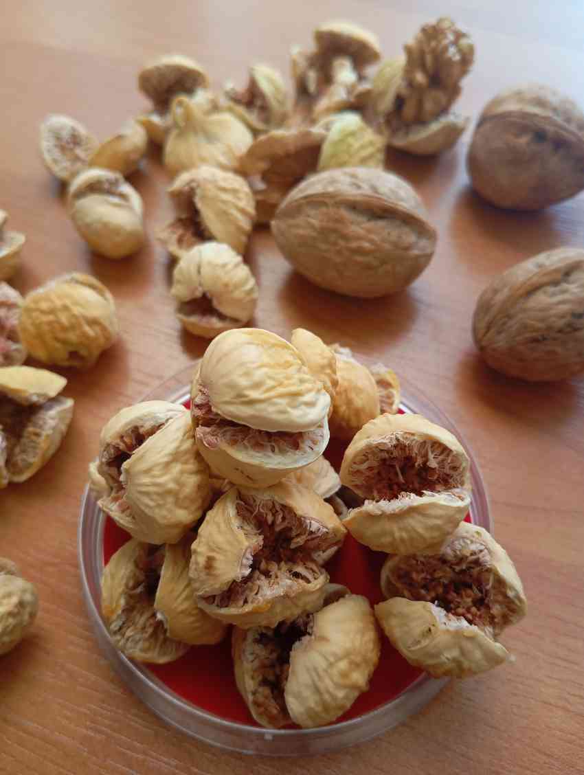 تصویر 2 از فروش انجیر خشک امسال + تخفیف ویژه