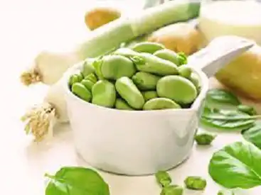 تصویر 1 از قیمت خرید کنسرو باقالا 350 گرمی خوشمزه بسته 12 عددی خرید عمده