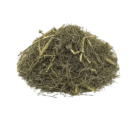 خرید مستقیم گیاه دم اسبی خشک از مزرعه + خواص معجزه آسا برای استخوان و کلیه