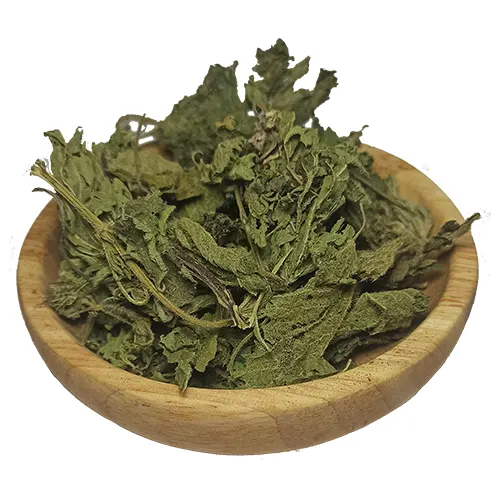 گزنه خشک مرغوب با قیمت ویژه + خواص درمانی