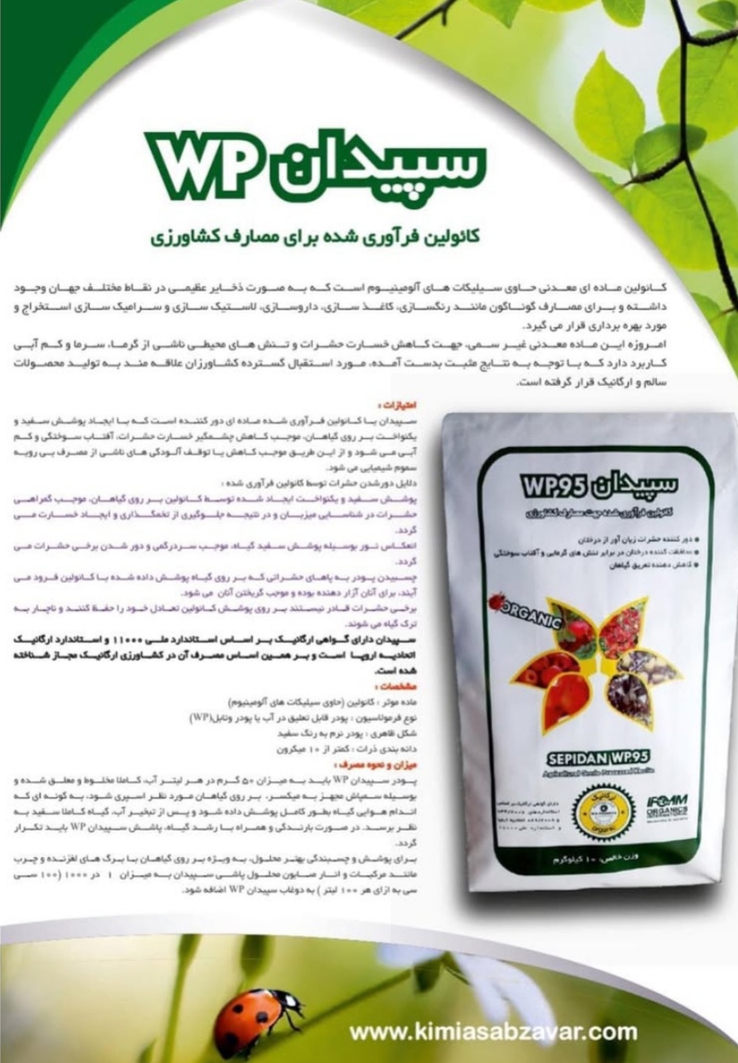 تصویر 1 از قیمت خرید کائولین فرآوری شده + تولید کننده