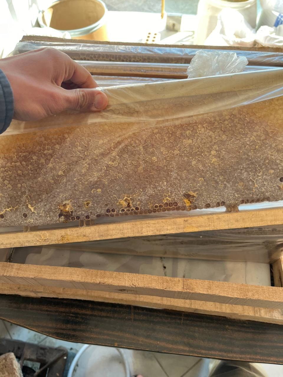 تصویر 2 از خرید عسل طبیعی مرغوب با قیمت استثنایی