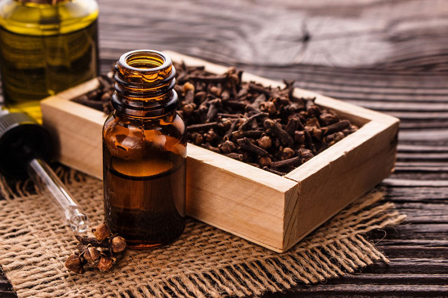 قیمت خرید روغن میخک