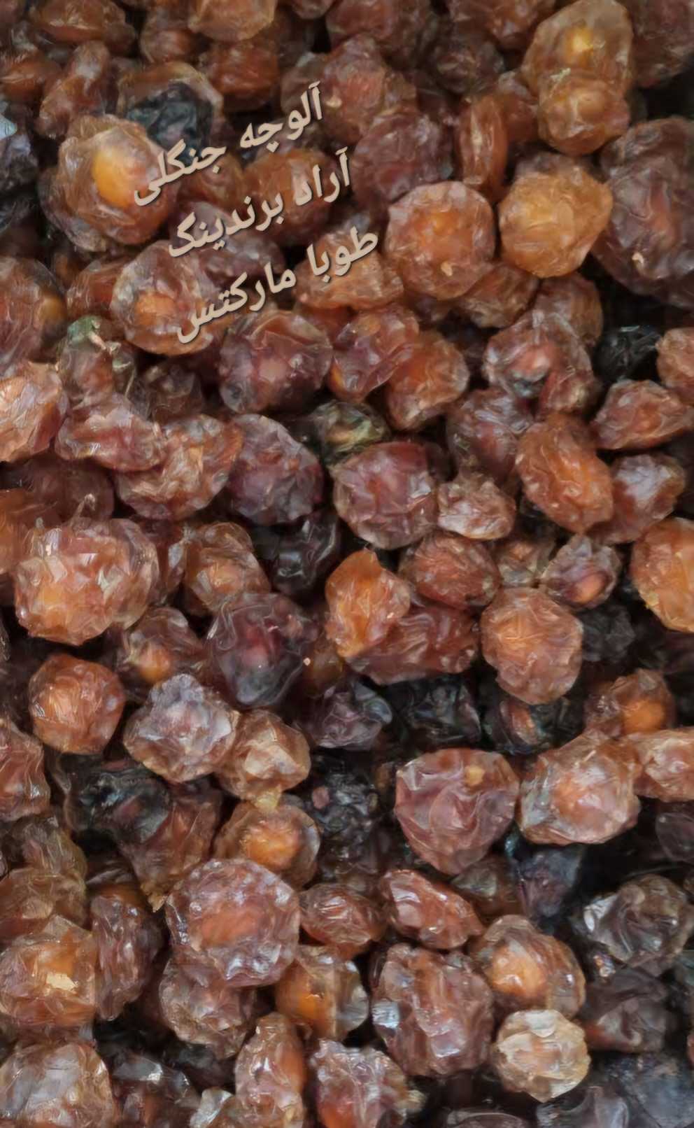 تصویر 3 از فروش عمده انواع آلو خشک نیشابور