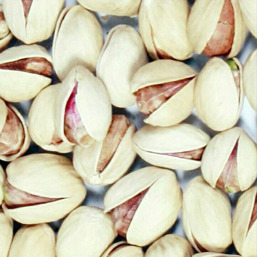 تصویر 2 از خرید و فروش پسته کله قوچی صادراتی با شرایط فوق العاده