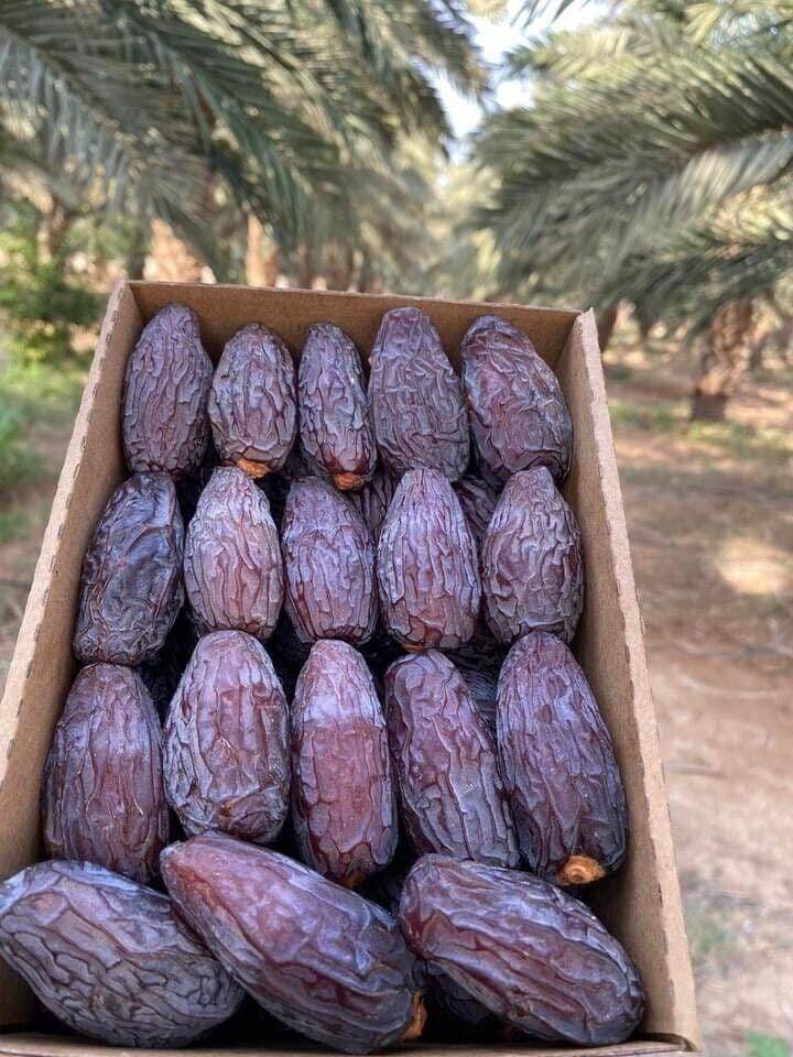 تصویر 1 از خرید عمده خرما مجول خوزستان + قیمت عادلانه