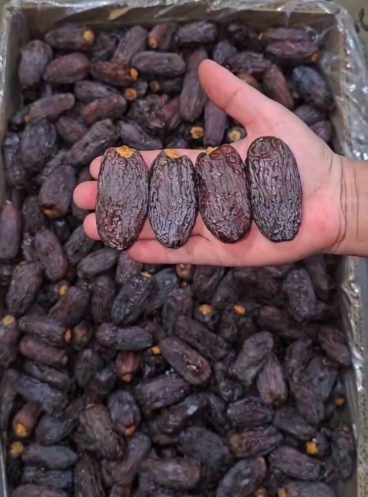 تصویر 2 از خرید عمده خرما مجول خوزستان + قیمت عادلانه