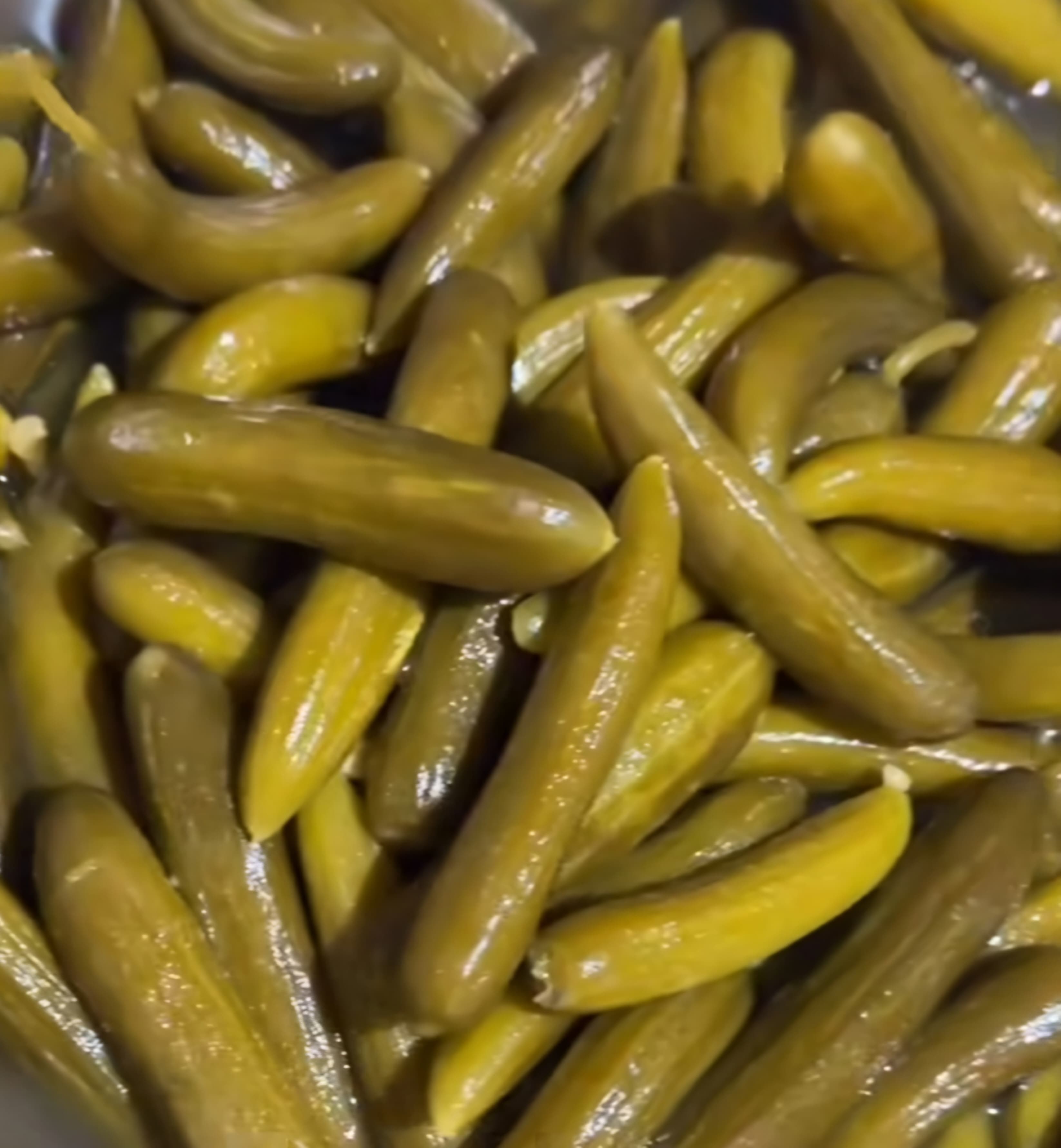 خرید و فروش خیارشور صنعتی با شرایط فوق‌ العاده