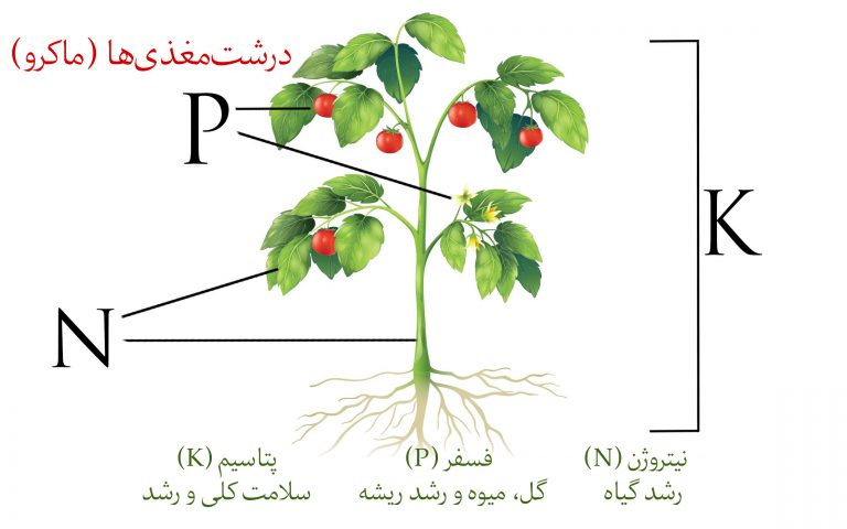 تصویر 1 از فروش عمده کود شیمیایی، خرید کود کامل