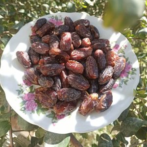 تصویر 4 از خرید عمده خرما شهابی با بهترین قیمت