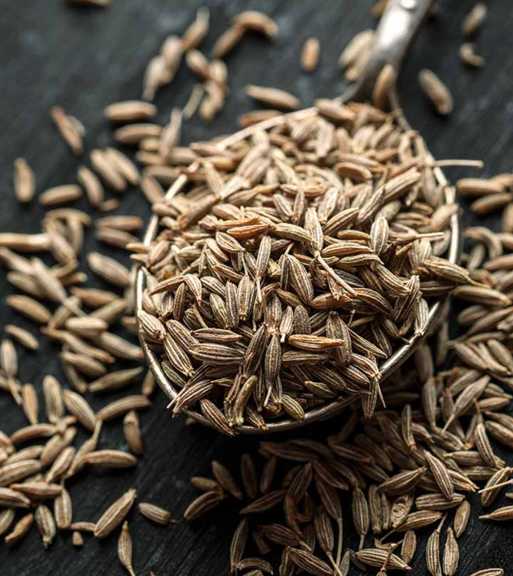 تصویر 1 از زیره کوهی خوش‌ طعم دارویی + خرید عمده