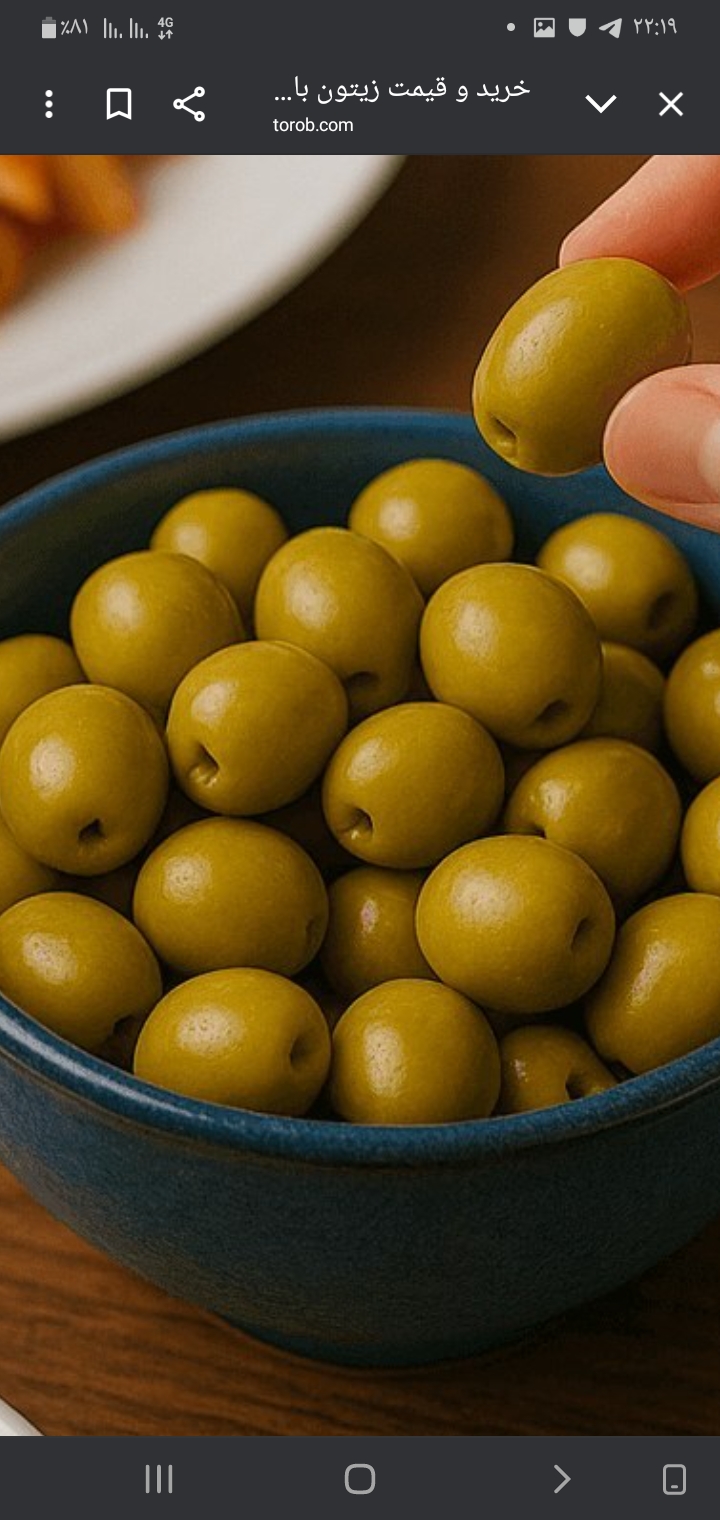 تصویر 3 از فروش باور نکردنی زیتون شور طارم زنجان